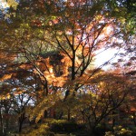 IMG_0688