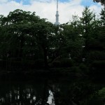 IMG_1611