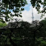 IMG_1614