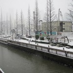 IMG_0009