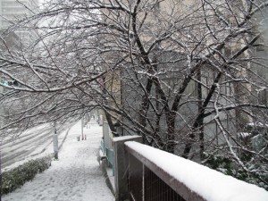 IMG_0011