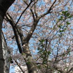 IMG_0005