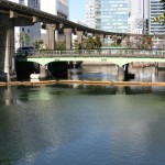 IMG_3667