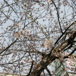 IMG_3689