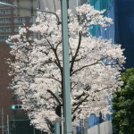 IMG_3693