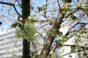 IMG_3835